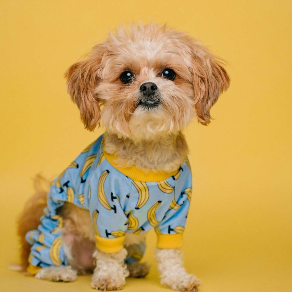 Girişimci Dükkanı – Farmasi Üyelik – Farmasi Askıdan Almak – Farmasi Giris